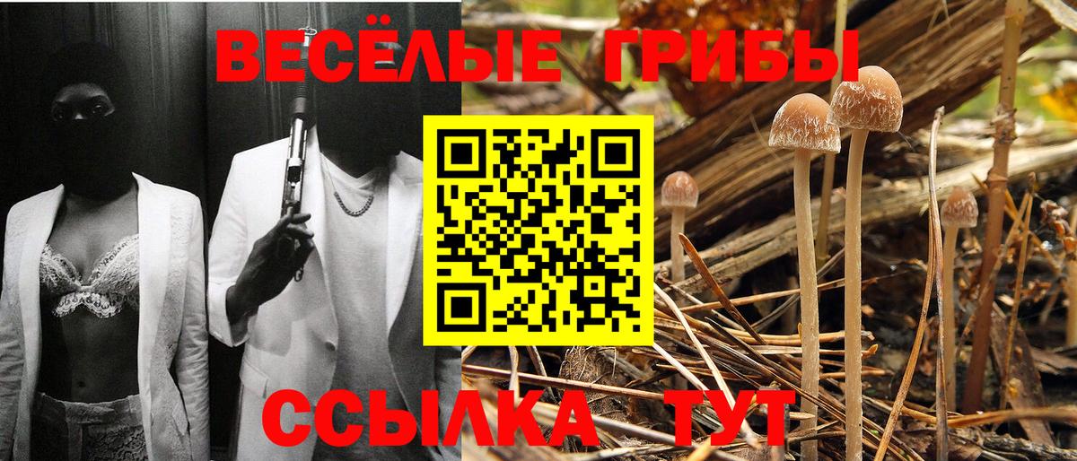 Псилоцибиновые грибы мухоморы  Вход с VPN  Верхний Уфалей 